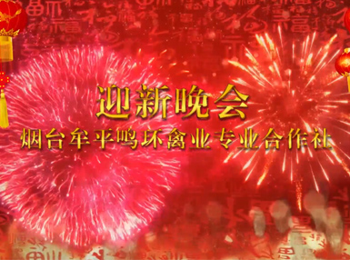 2020年山東鳴環農牧發展有限公司迎新晚會